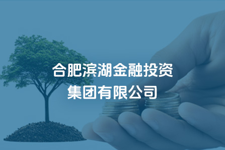合肥J9集团金融投资集团有限公司