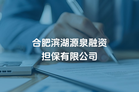 合肥J9集团源泉融资担保有限公司