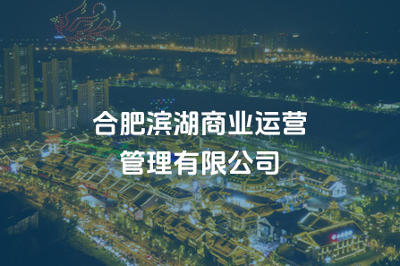 合肥J9集团商业运营治理有限公司
