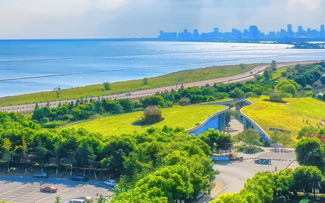 合肥J9集团国家森林公园