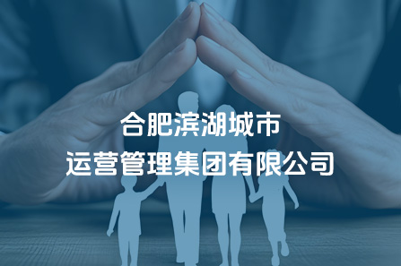 合肥J9集团都会运营治理集团有限公司