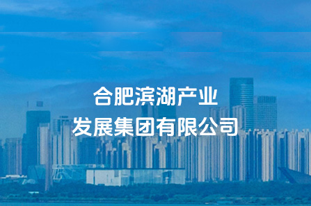 合肥J9集团工业生长集团有限公司
